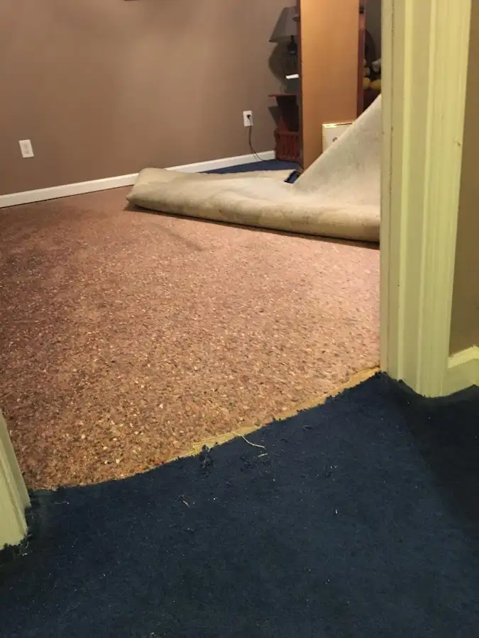 Carpet pad removal revealing water damage during Water Mitigation Services in Dryden